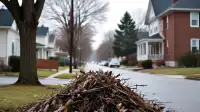 Federal Aid Dims for IN Counties After Storms | Terre